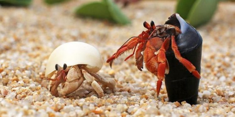 Menikmati Zona Nyaman