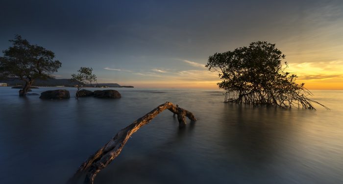 Jalan Panjang Memerdekakan Ibu Pertiwi dari Perusakan Alam
