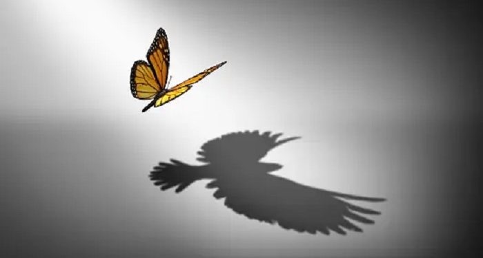 Masih Sering Klaim Kesuksesan dari Diri Sendiri? Ingat, Segala Kebaikan Itu dari Allah