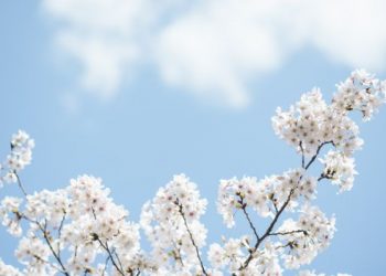 Surat Quraisy ayat 4