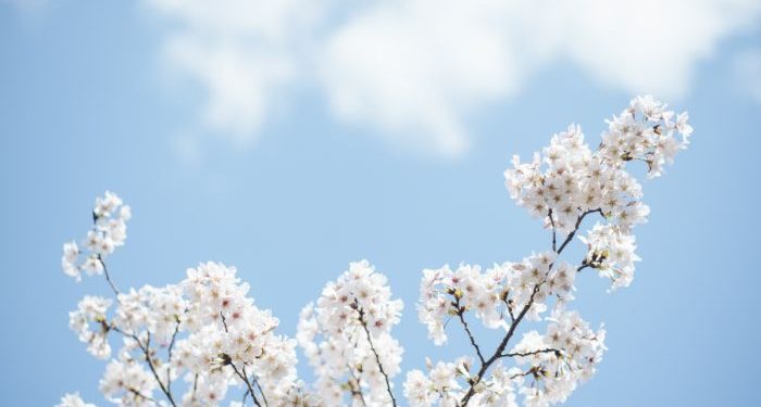 Surat Quraisy ayat 4