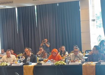 Wakil Ketua BAKN Ingatkan PT SMI Soal Pinjaman Daerah yang Lewati Masa Jabatan Kepala Daerahnya