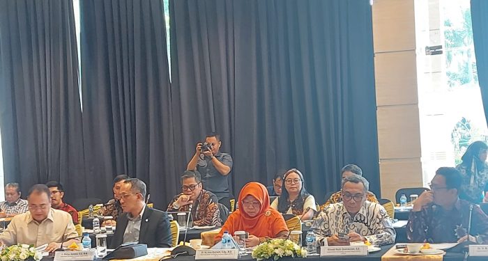 Wakil Ketua BAKN Ingatkan PT SMI Soal Pinjaman Daerah yang Lewati Masa Jabatan Kepala Daerahnya