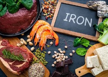 Makanan Kaya Zat Besi untuk Bayi