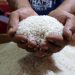 Harga Beras Tak Terkendali