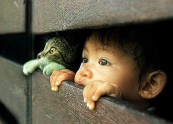 Cerdas Itu Tak Cuma di Otak