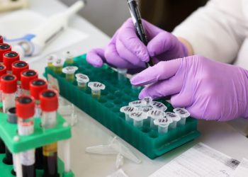 Menghilangkan Najis Babi pada Wadah dan Badan