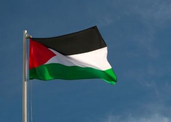 Rekomendasi channel youtube untuk update info terkini palestina