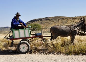 Kisah Jameel dan Almond Bagikan Air Gratis untuk Tetangga di Gaza