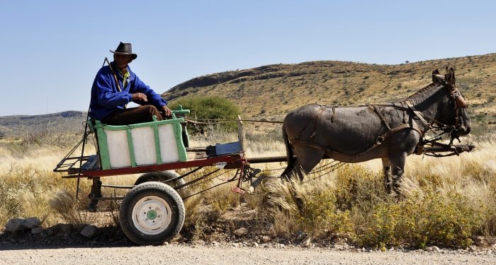 Kisah Jameel dan Almond Bagikan Air Gratis untuk Tetangga di Gaza
