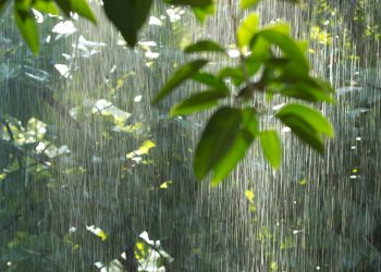 Terhubung dalam Satu Jiwa