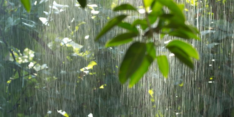 Terhubung dalam Satu Jiwa