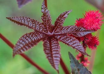 Jangan Nilai dari Luarnya