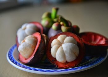 4 Manfaat Buah Manggis untuk Ibu Hamil, Dapat Mencegah Cacat Lahir