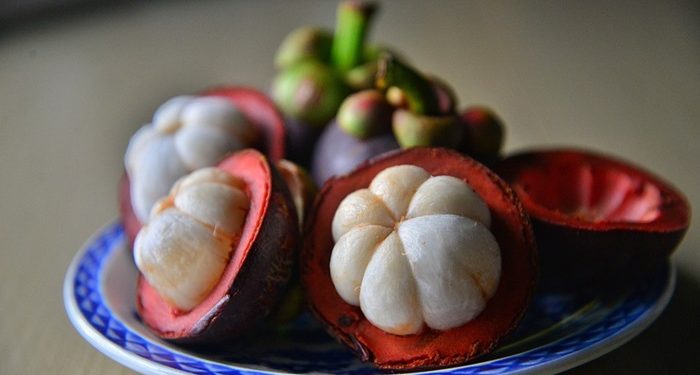 4 Manfaat Buah Manggis untuk Ibu Hamil, Dapat Mencegah Cacat Lahir