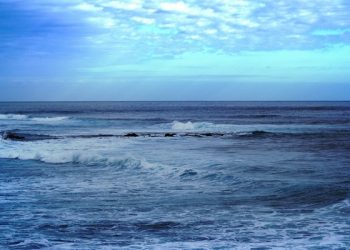 Yang Penting Sekarang dan Masa Mendatang