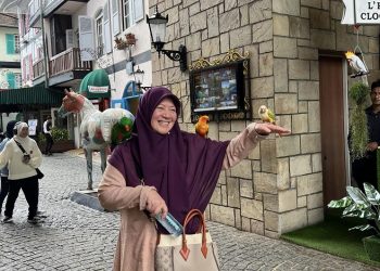 Enjoying Colmar Tropicale