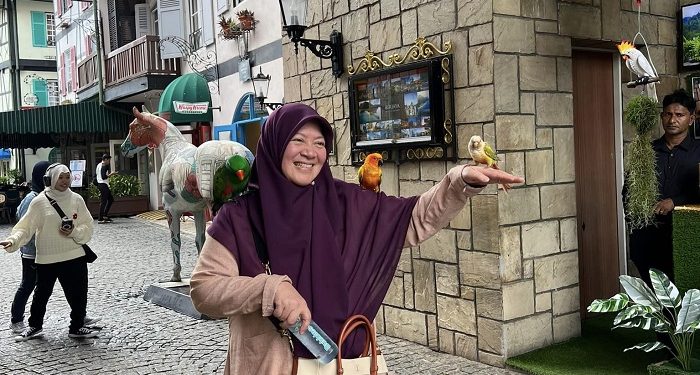 Enjoying Colmar Tropicale