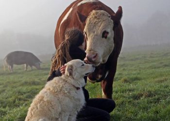 Menjaga Pagar Kesadaran