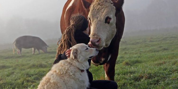 Menjaga Pagar Kesadaran