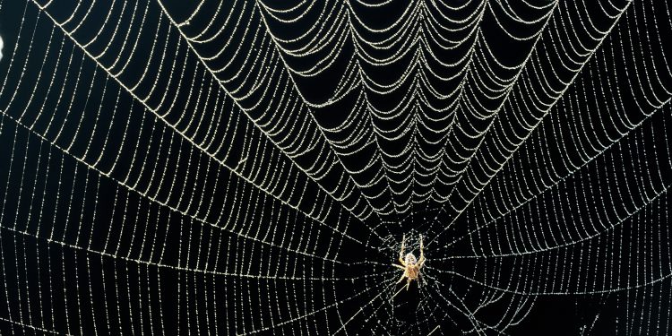 Seperti Rumah Laba-laba