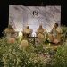 Peragaan Busana Raya Collection 2024 Club Solitaire Renascentia