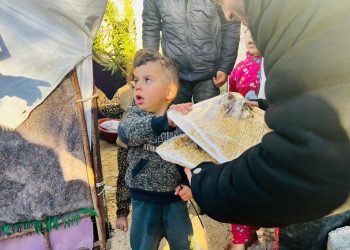 Kesaksian Relawan: Israel Membuat Framing Warga Palestina Menjarah Truk Bantuan