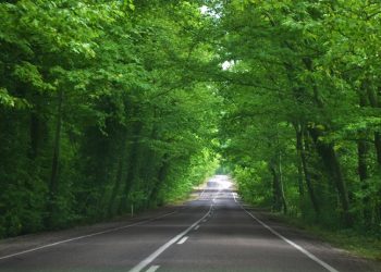 6 Tanda Seseorang Berada di Jalan yang Benar