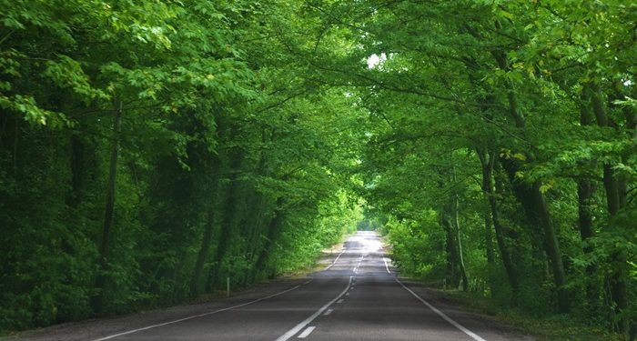 6 Tanda Seseorang Berada di Jalan yang Benar