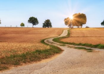 Wasilah Nabi Daniel dan Nabi Yusuf