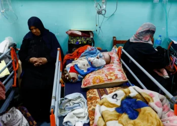 Enam Anak Meninggal Karena Kekurangan Gizi di Rumah Sakit Gaza