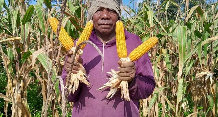 Kisah Inspiratif Belarmino, Mantan Buruh Pabrik yang Hijrah Jadi Petani dan Sukses Sekolahkan Anak Hingga Sarjana