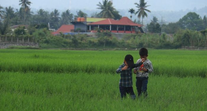 Salahkah Memarahi Anak Orang Lain yang Berbuat Zalim Kepada Anak Kita (1)