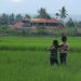 Salahkah Memarahi Anak Orang Lain yang Berbuat Zalim Kepada Anak Kita (1)