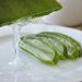 5 Manfaat Aloe Vera untuk Rambut