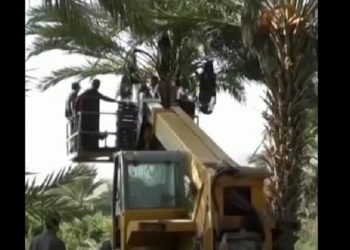 Inilah Alasan Kenapa Kita Harus Boikot Kurma dari Israel