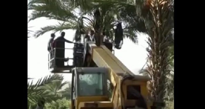 Inilah Alasan Kenapa Kita Harus Boikot Kurma dari Israel