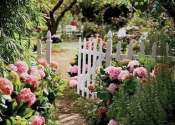 Masih Terbentang Harapan