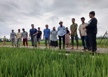 Kuatkan Ketahanan Pangan, Warga Desa Waringinsari Ikuti Pelatihan Pembuatan Nutrisi Bioremediasi dan Bio Amino