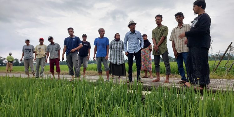 Kuatkan Ketahanan Pangan, Warga Desa Waringinsari Ikuti Pelatihan Pembuatan Nutrisi Bioremediasi dan Bio Amino