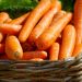 Resep JSR untuk Penurun Kolesterol
