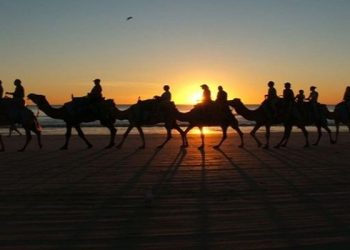 Pengkhianatan dan Pengusiran Bani Musthaliq