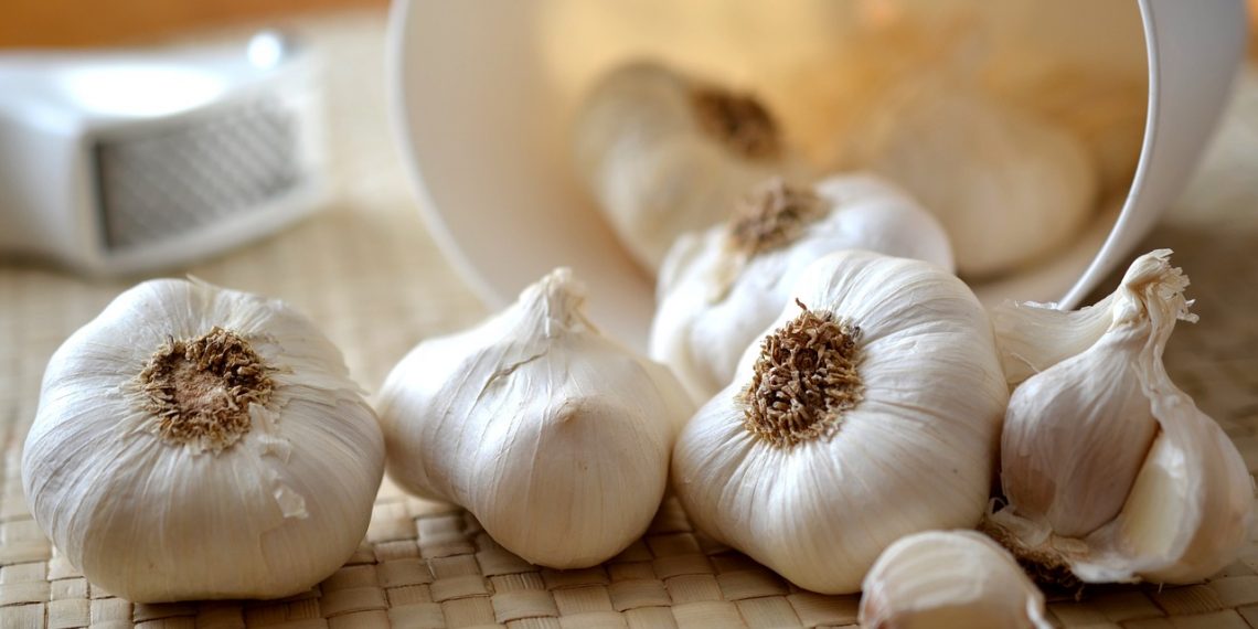 Simak, Tujuh Manfaat Bawang Putih Mentah bagi Kesehatan Tubuh