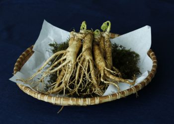 Ketahui Lima Manfaat Ginseng untuk Kesehatan Tubuh Kamu