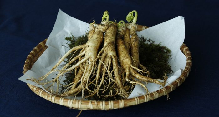 Ketahui Lima Manfaat Ginseng untuk Kesehatan Tubuh Kamu