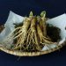 Ketahui Lima Manfaat Ginseng untuk Kesehatan Tubuh Kamu