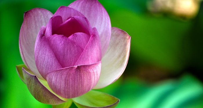 Prasangka Baik akan Membimbing Manusia kepada Amal Shalih