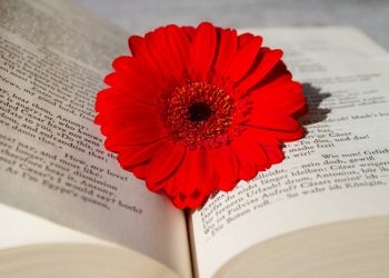 Jangan Tergiur dengan Kondisi Mereka