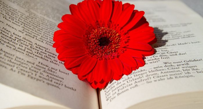 Jangan Tergiur dengan Kondisi Mereka