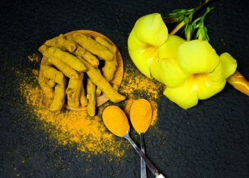 Anti Kanker, Simak Lima Manfaat Temulawak untuk Kesehatan Tubuh